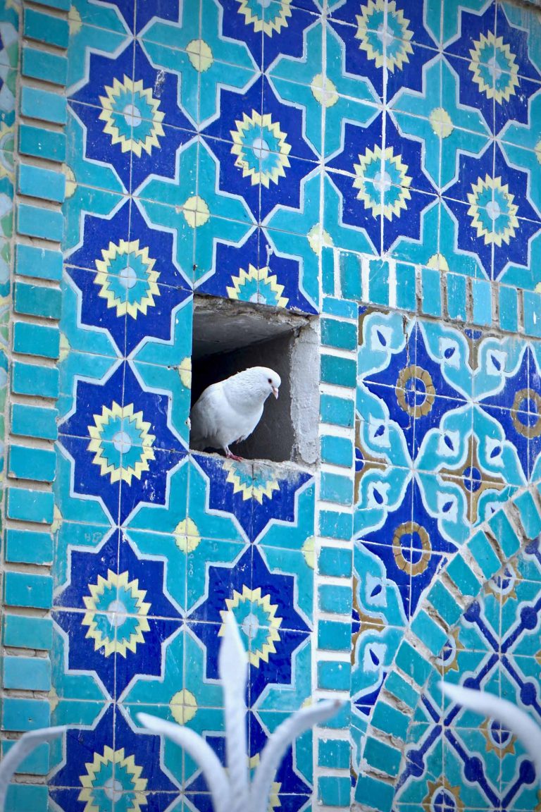 Afghanistan