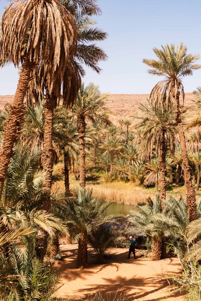Algeria