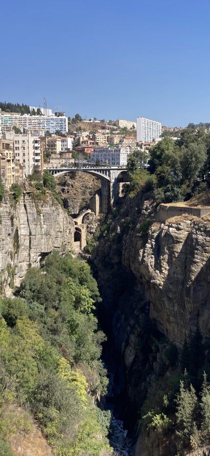 algeria-header
