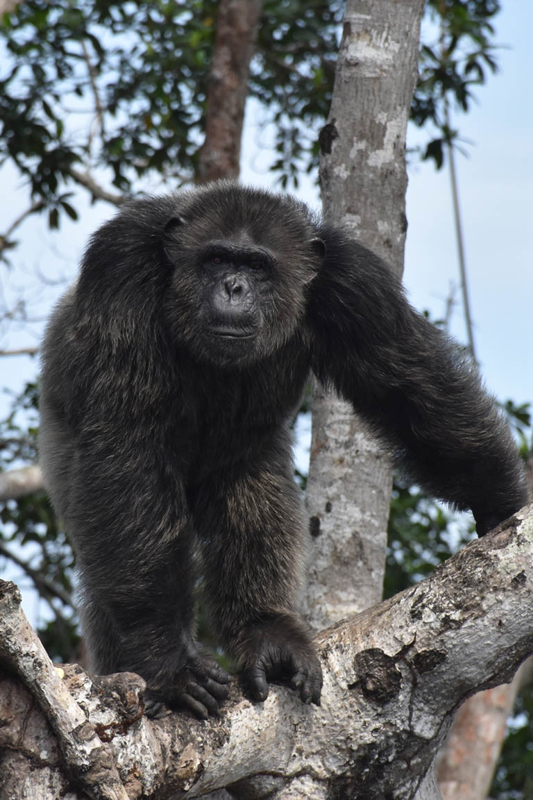 Republic of Congo
