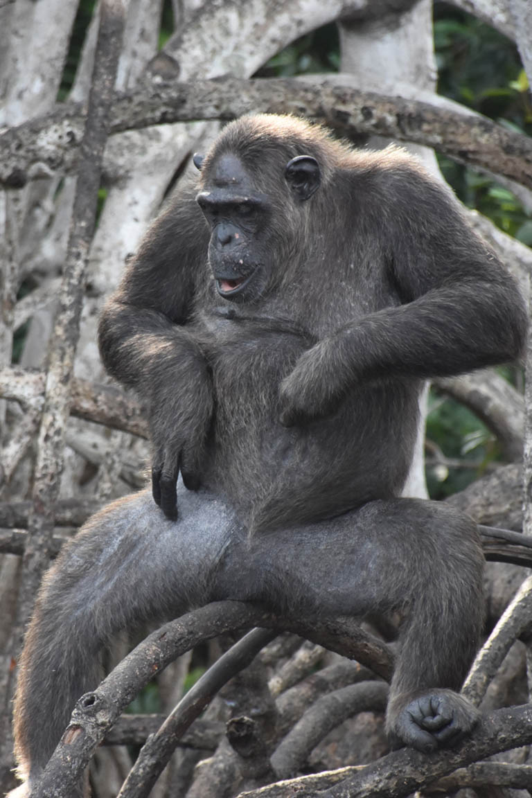 Republic of Congo