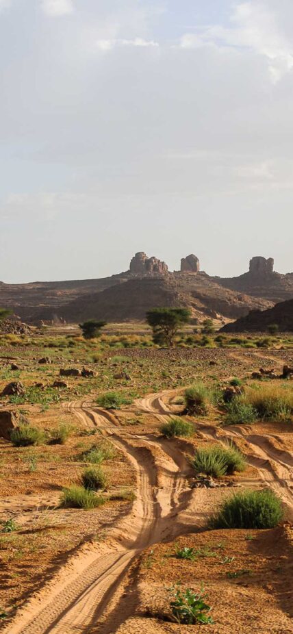 Algeria