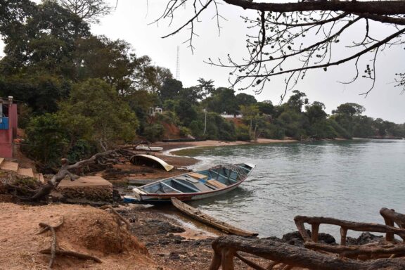 Guinea & Guinea-Bissau Tour