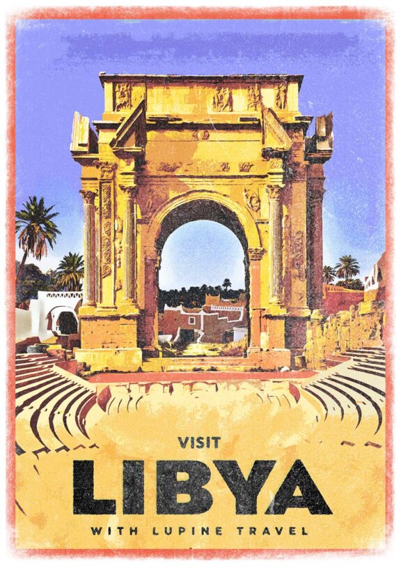 Lupine Syria A3 Print