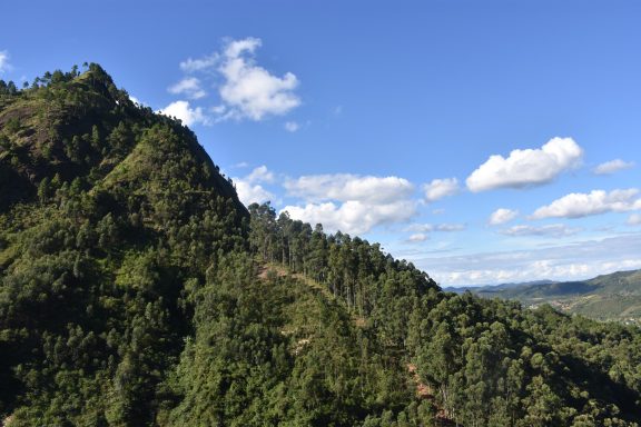 Madagascar East & West River Tour