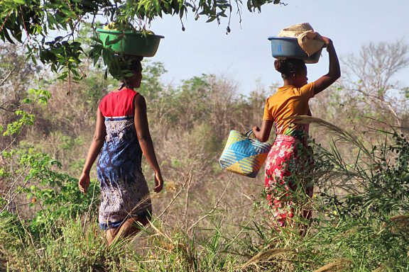 Madagascar East & West River Tour