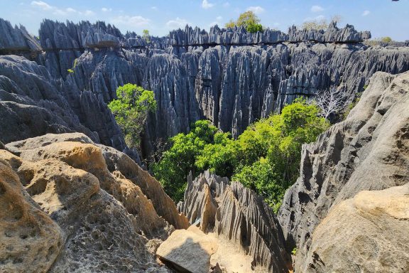 Madagascar East & West River Tour