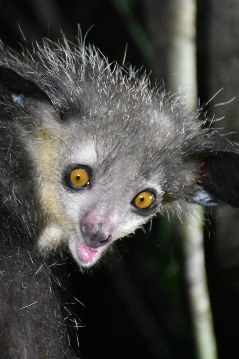 Madagascar