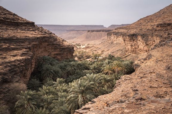 The Iron Ore Train & Saharan Provinces Tour