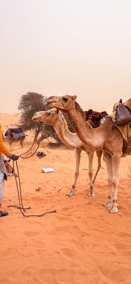 Mauritania