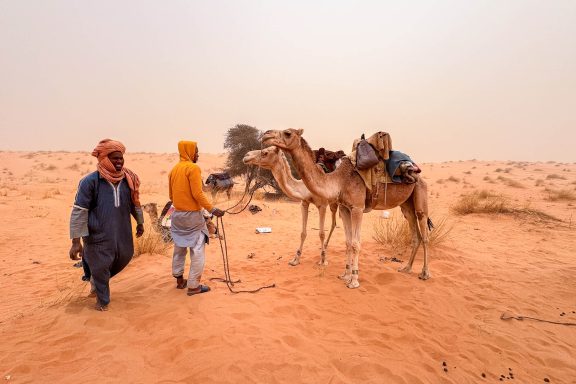 The Iron Ore Train & Saharan Provinces Tour