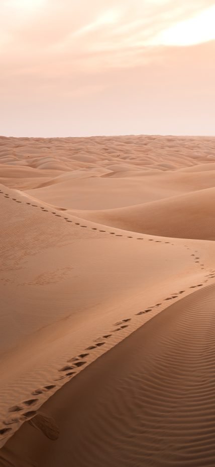mauritania-header