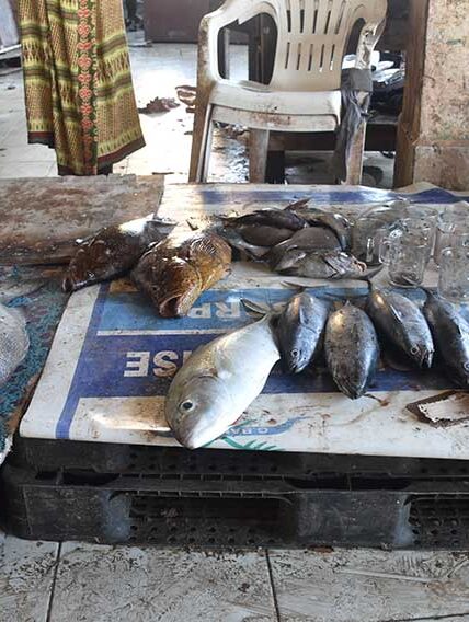 Somalia
