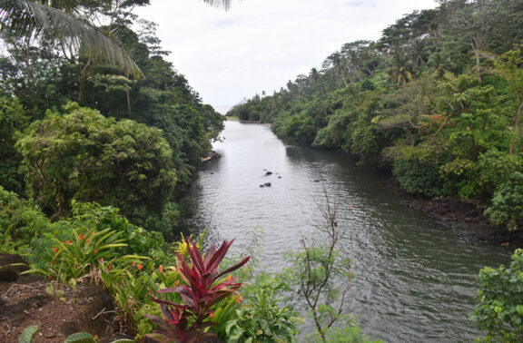South Pacific Islands Tour: Fiji, Tuvalu, Tonga & Samoa