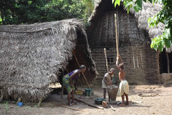 Sierra Leone and Liberia Highlights Tour