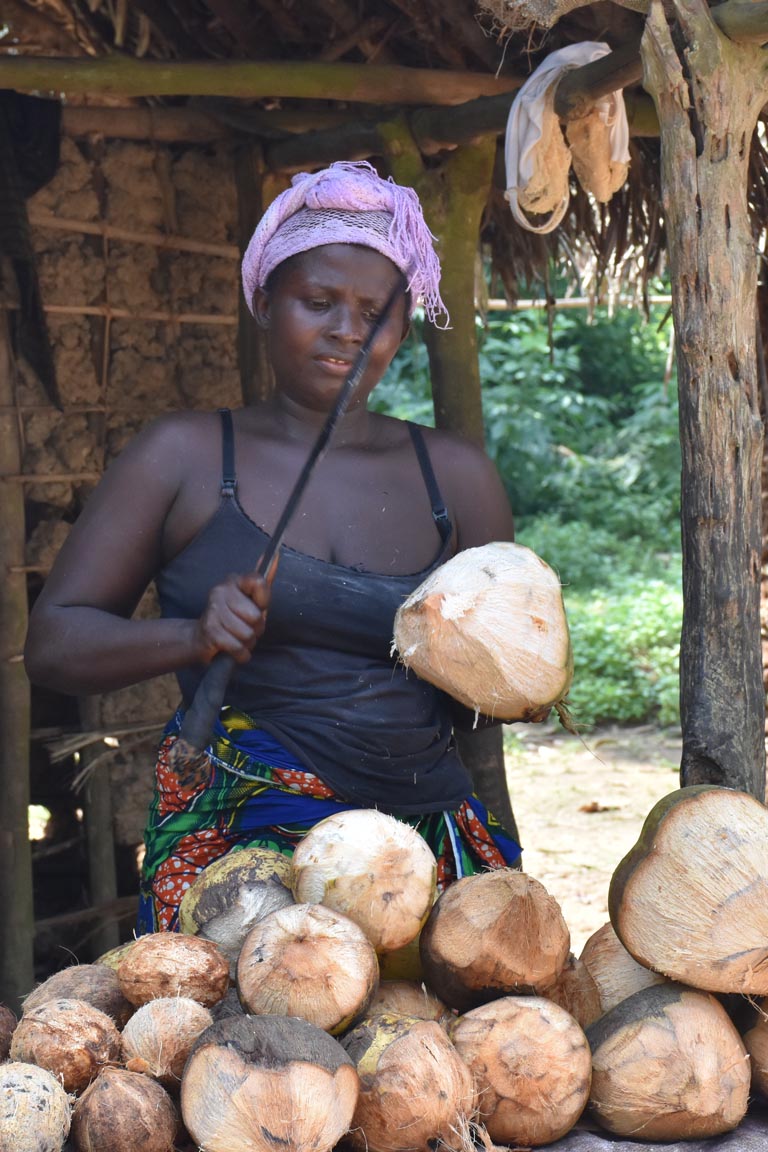 Sierra Leone & Liberia
