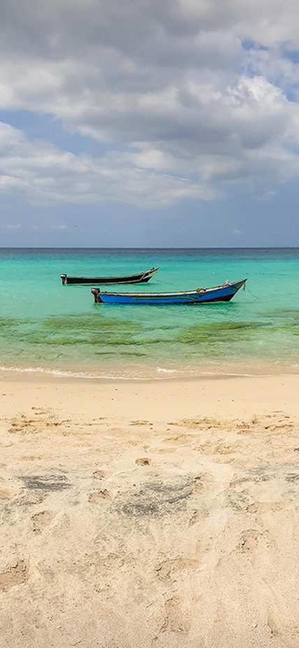 Socotra