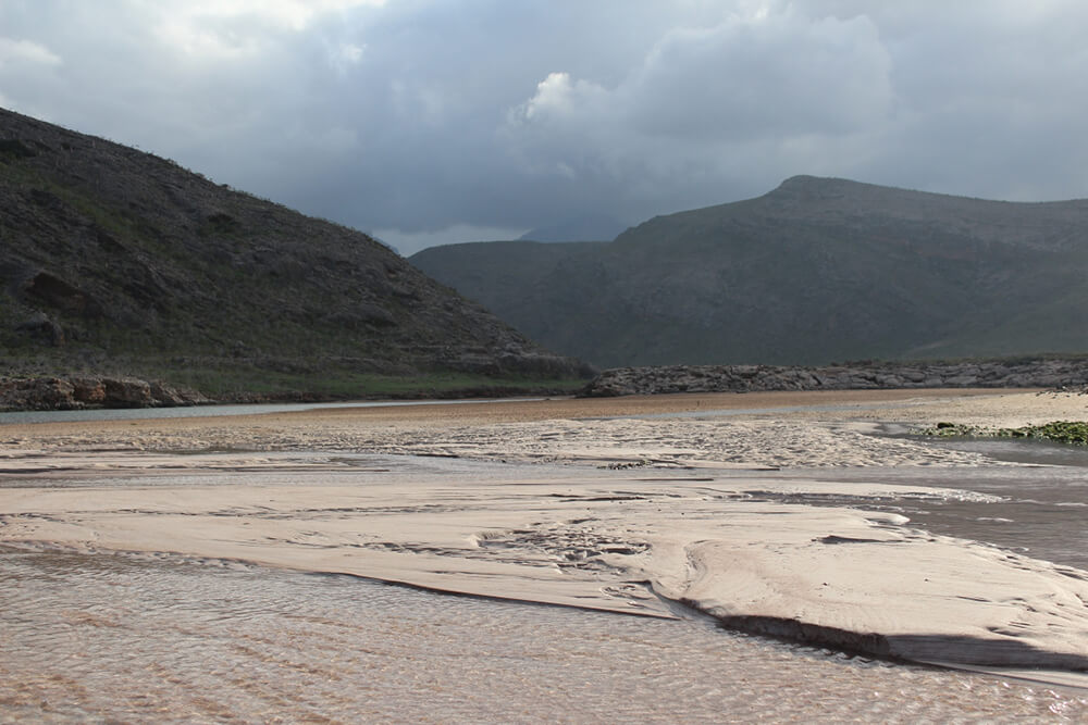 Beach in Socotra