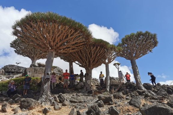 South Yemen & Socotra Combo Tour