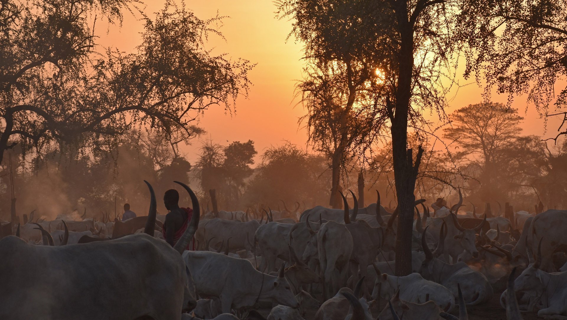 south-sudan-new-header
